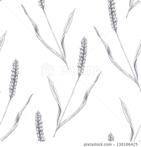 Seamless pattern with ears of wheat. Hand drawn pencil illustration on the theme of harvest for interior design, menu, packaging, beer festivals, harvest and parties. 130186425