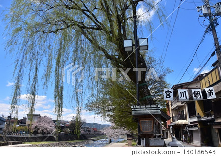 Takayama City, Gifu Prefecture, Japan - Miyagawa River flowing through the center of the city and the tourist attraction Miyagawa Morning Market - Cherry blossoms in full bloom and a beautiful blue sky - mid-afternoon Takayama City, Gifu Prefecture, Japan - Miyagawa River flowing through the center of the city and the tourist attraction Miyagawa Morning Market - Cherry blossoms in full bloom and a beautiful blue sky - mid-afternoon 130186543