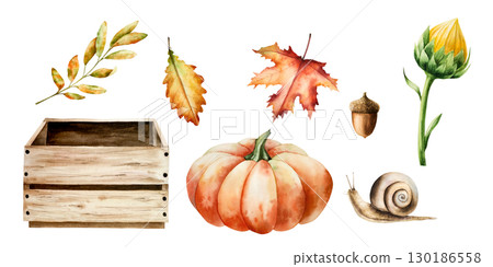 Watercolor pumpkins, snail, sunflower, maple, oak leafs, wooden box, painted in rustic orange and green tones. Hand-drawn vintage storage crate, halloween autumn vegetable perfect for harvest and Watercolor pumpkins, snail, sunflower, maple, oak leafs, wooden box, painted in rustic orange and green tones. Hand-drawn vintage storage crate, halloween autumn vegetable perfect for harvest and 130186558