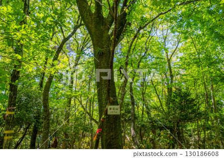 Mount Mani Summit, Tottori City, Tottori Prefecture 130186608