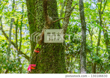 鳥取縣鳥取市瑪尼山頂 鳥取縣鳥取市瑪尼山頂 130186630