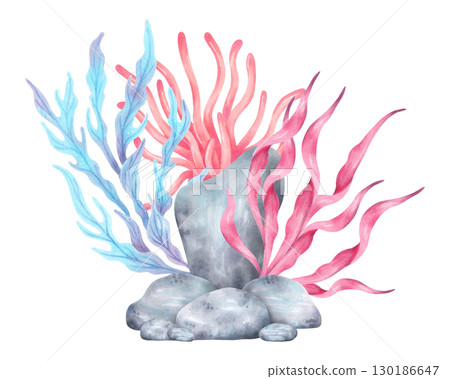 Sea stones with coral, seaweed. Watercolor illustration. Composition with underwater animals and pebbles. Hand drawn isolated art. Tropical ocean atmosphere for marine theme and travel guide design. 130186647