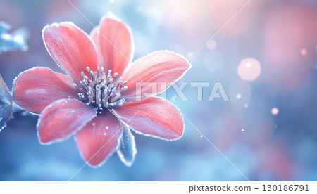 Snowdflake flower vibrant blossom petal nature plant blurred dark background 130186791