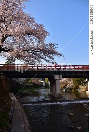 日本岐阜縣高山市的春天：盛開的櫻花、旅遊景點中橋和美麗的藍天 130186905