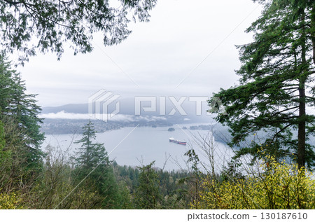 View of the mountains and waterways of Burnaby from the Burnaby Mountain Park 130187610