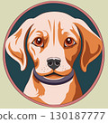 Colored vector illustration of a beagle dog portrait 130187777