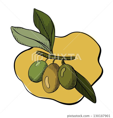 Puddle yellow oil, Olive oil puddle composition. Vector graphic line ink colored illustration. Olive oil, puddle, berries, green leaves, branch, for cooking, condiment and culinary ingredient 130187901