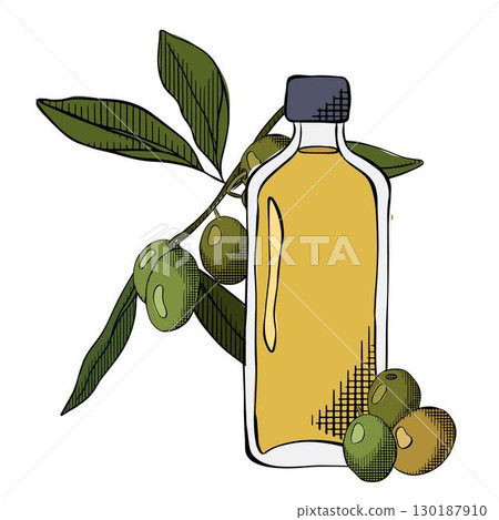 Olive oil in bottle and branch with fruit and green leaves vector graphic line ink colored illustration. Cartoon isolated glass jar with cork lid and natural extra virgin oil for cooking, condiment 130187910