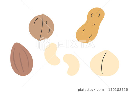 簡單可愛的堅果插畫集 130188526