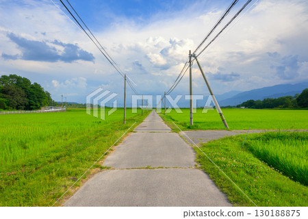 Midsummer rural scenery [Nagano Prefecture] 130188875