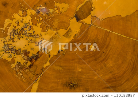 Grain of giant wooden board Grain of giant wooden board 130188987