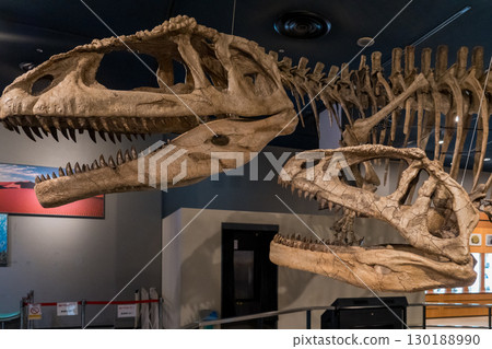 名古屋馬普龍化石標本 名古屋馬普龍化石標本 130188990