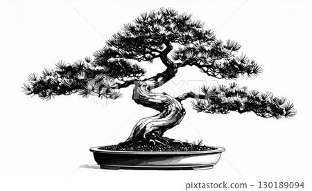 Simple bonsai illustration of black pine in ink painting style 130189094