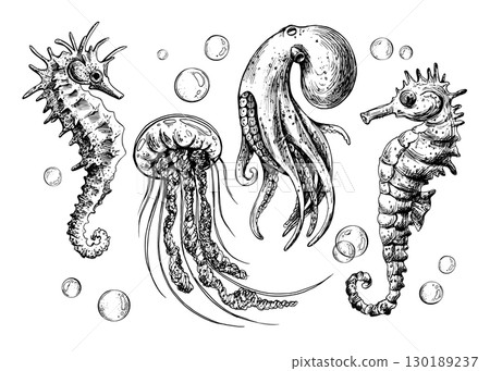 Hand drawn line art illustration of seahorses, jellyfish, octopus and bubbles. Black ink marine collection with detailed underwater creatures, perfect for clipart, nautical artworks and vintage design Hand drawn line art illustration of seahorses, jellyfish, octopus and bubbles. Black ink marine collection with detailed underwater creatures, perfect for clipart, nautical artworks and vintage design 130189237