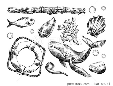 Hand drawn line art illustration of whale, fish, lifebuoy, seashells and bubbles. Black ink marine collection with seaweed and branch, perfect for clipart, nautical fantasy and creative artworks. 130189241