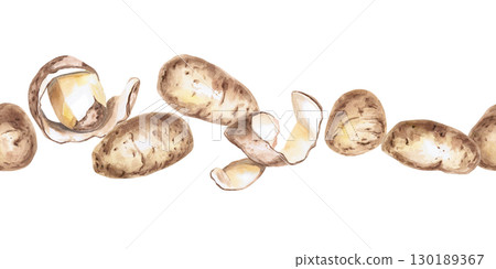 Seamless border of whole potatoes and peelings. Isolated watercolor illustration on the theme of vegetables for the design of seed packaging, restaurant menus, culinary recipes. Seamless border of whole potatoes and peelings. Isolated watercolor illustration on the theme of vegetables for the design of seed packaging, restaurant menus, culinary recipes. 130189367
