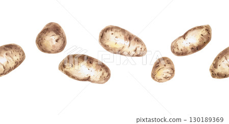 Seamless border of whole potatoes. Isolated watercolor illustration on the theme of vegetables for the design of seed packaging, restaurant menus, culinary recipes. Seamless border of whole potatoes. Isolated watercolor illustration on the theme of vegetables for the design of seed packaging, restaurant menus, culinary recipes. 130189369