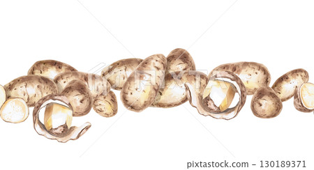 Seamless border of whole and peeled potatoes. Isolated watercolor illustration on the theme of vegetables for the design of seed packaging, restaurant menus, culinary recipes. 130189371