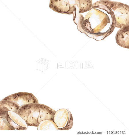Square frame with corner elements made of potato tubers. Isolated watercolor illustration on the theme of vegetables for the design of packaging of seed materials, restaurant menus, culinary recipes. 130189381