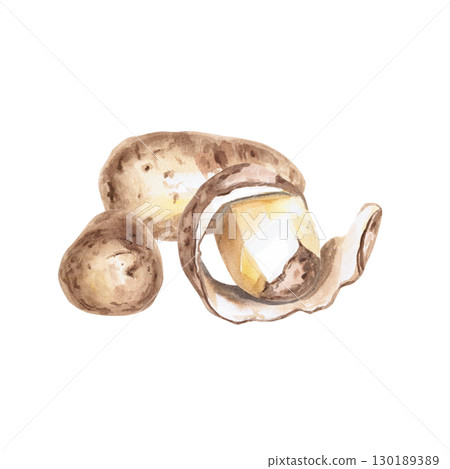 Three potatoes. Isolated watercolor illustration on the theme of vegetables for the design of packaging of seed materials, restaurant menus, culinary recipes, labels. Three potatoes. Isolated watercolor illustration on the theme of vegetables for the design of packaging of seed materials, restaurant menus, culinary recipes, labels. 130189389
