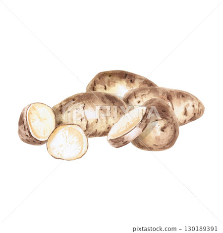 A pile of whole and cut potato tubers. Isolated watercolor illustration on the theme of vegetables for the design of seed packaging, restaurant menus, culinary recipes, labels. A pile of whole and cut potato tubers. Isolated watercolor illustration on the theme of vegetables for the design of seed packaging, restaurant menus, culinary recipes, labels. 130189391