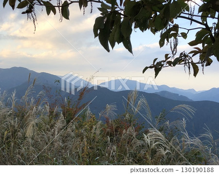 秋日的山脈和搖曳的紫芒 秋日的山脈和搖曳的紫芒 130190188