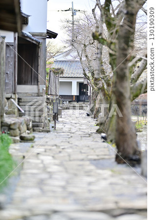 Hachimanbori March 2024 130190309