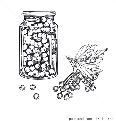 Viburnum berry jam in a glass jar, a viburnum branch with berries, a leaf. All objects are hand-drawn with ink. The illustration is suitable for printing on products with products, store decoration. 130190378