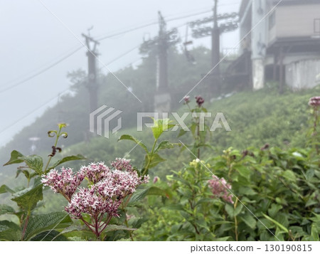 霧氣瀰漫的谷川岳天神平站纜車站,藤葺盛開,景色宜人_夏季的谷川岳索道纜車 霧氣瀰漫的谷川岳天神平站纜車站,藤葺盛開,景色宜人_夏季的谷川岳索道纜車 130190815