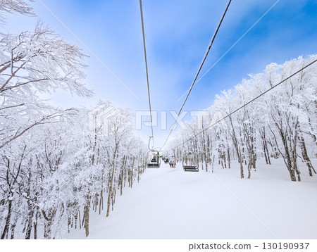 貓咪之岳滑雪場 - 從連接南北地區的纜車上眺望 貓咪之岳滑雪場 - 從連接南北地區的纜車上眺望 130190937