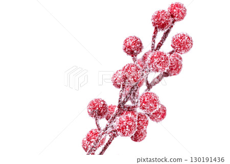 red christmas berries isolated red christmas berries isolated 130191436