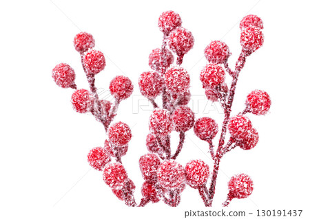 red christmas berries isolated 130191437