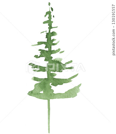 Hand drawn watercolor green spruce or pine tree, isolated illustration for winter wedding Hand drawn watercolor green spruce or pine tree, isolated illustration for winter wedding 130191557