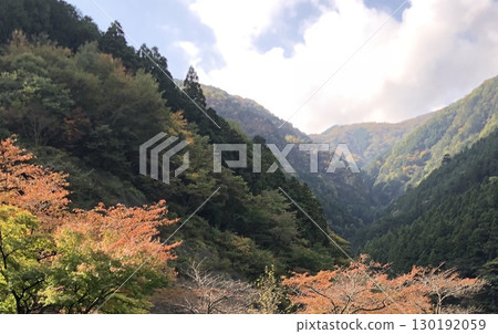 秋天的山脈和秋葉 秋天的山脈和秋葉 130192059