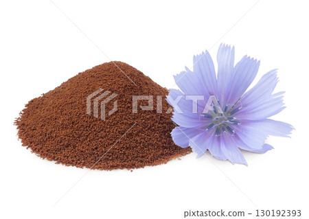 Chicory powder and flower isolated on white background. Cichorium intybus. Chicory powder and flower isolated on white background. Cichorium intybus. 130192393