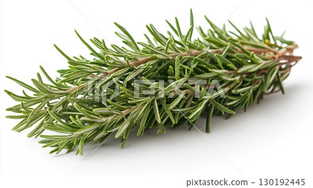 Fresh Rosemary Sprig Isolated on White Background 130192445