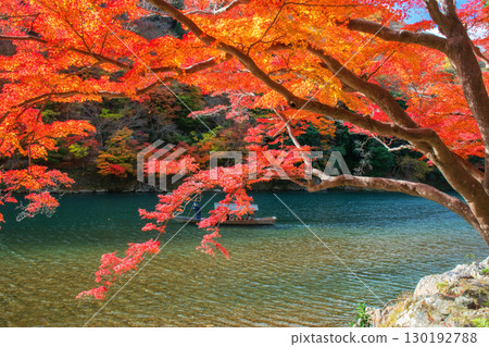 Boatman punting tourist wooden boat in autumn, Arashiyama river 130192788