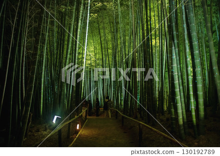 Tourist people at Bamboo grove light up at night in Kodai-ji temple, Kyoto Tourist people at Bamboo grove light up at night in Kodai-ji temple, Kyoto 130192789
