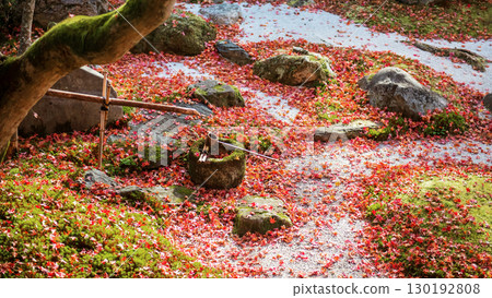 Bamboo irrigate water to wood dipper at eikando temple in fall, Kyoto 130192808