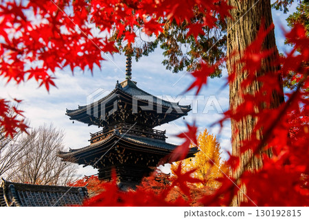 Shinnyodo pagoda with red maple and yellow ginkgo leaf in autumn, Kyoto Shinnyodo pagoda with red maple and yellow ginkgo leaf in autumn, Kyoto 130192815