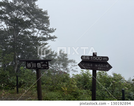 Summer Tanigawadake hiking trail seen from Tenjin Ridge_Tanigawadake Summer Tanigawadake hiking trail seen from Tenjin Ridge_Tanigawadake 130192894