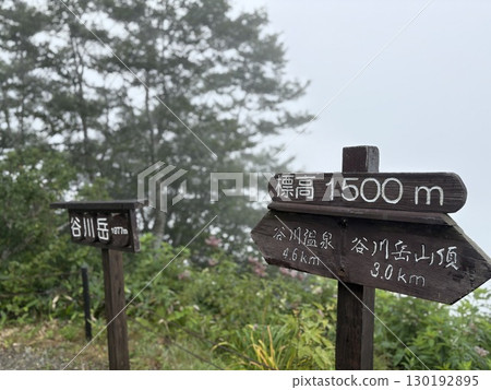 夏季從谷川山天神山脊眺望的谷川山登山道_雲霧繚繞的谷川山 夏季從谷川山天神山脊眺望的谷川山登山道_雲霧繚繞的谷川山 130192895