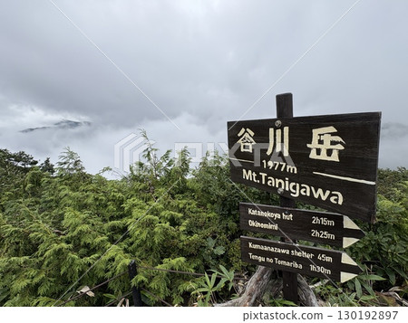 Mt. Tanigawa hiking trail seen from the Tenjin ridge of Mt. Tanigawa in summer_Mist-covered Mt. Tanigawa 130192897