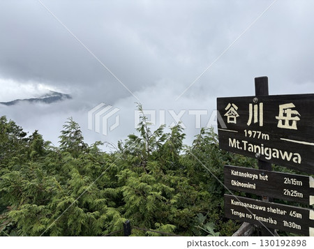 Mt. Tanigawa hiking trail seen from the Tenjin ridge of Mt. Tanigawa in summer_Mist-covered Mt. Tanigawa 130192898