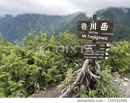 Mt. Tanigawa hiking trail seen from the Tenjin ridge of Mt. Tanigawa in summer_Mist-covered Mt. Tanigawa 130192899
