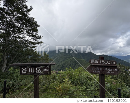 夏季從谷川山天神山脊眺望的谷川山登山道_雲霧繚繞的谷川山 夏季從谷川山天神山脊眺望的谷川山登山道_雲霧繚繞的谷川山 130192901