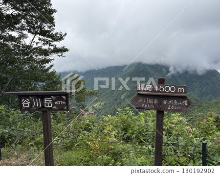 夏季從谷川山天神山脊眺望的谷川山登山道_雲霧繚繞的谷川山 夏季從谷川山天神山脊眺望的谷川山登山道_雲霧繚繞的谷川山 130192902