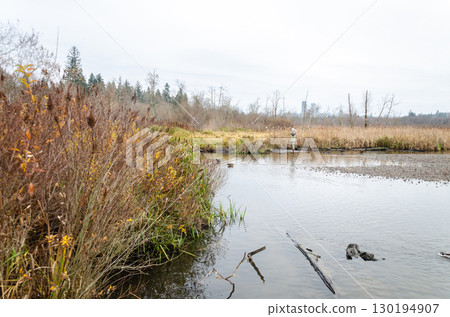 Burnaby Lake Regional Park, BC, Canada 130194907