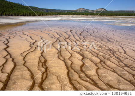 Grand Prismatic Pool at Yellowstone National Park. 130194951