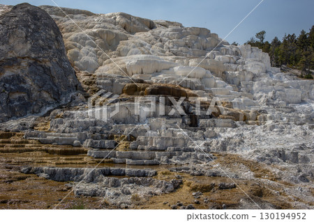 Mammoth hot spring system in the Yellowstone national park. Mammoth hot spring system in the Yellowstone national park. 130194952